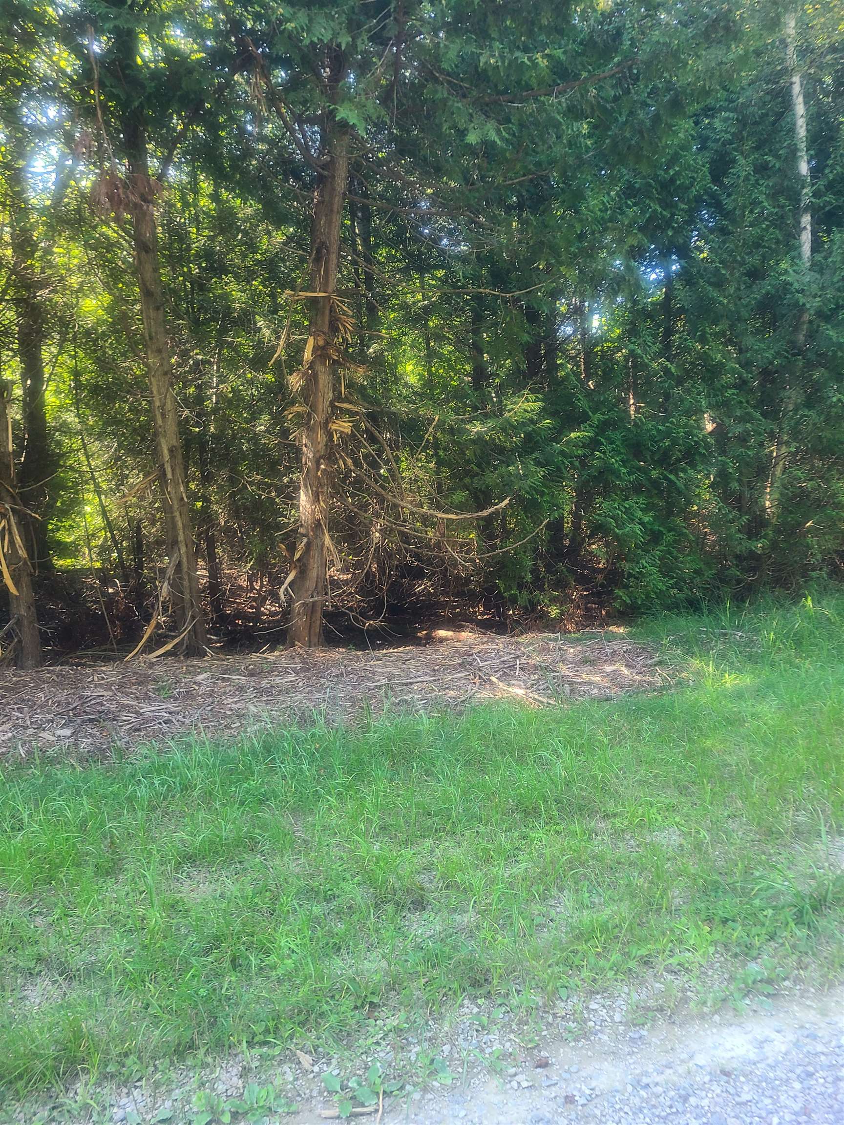 00 Birchwood Trail