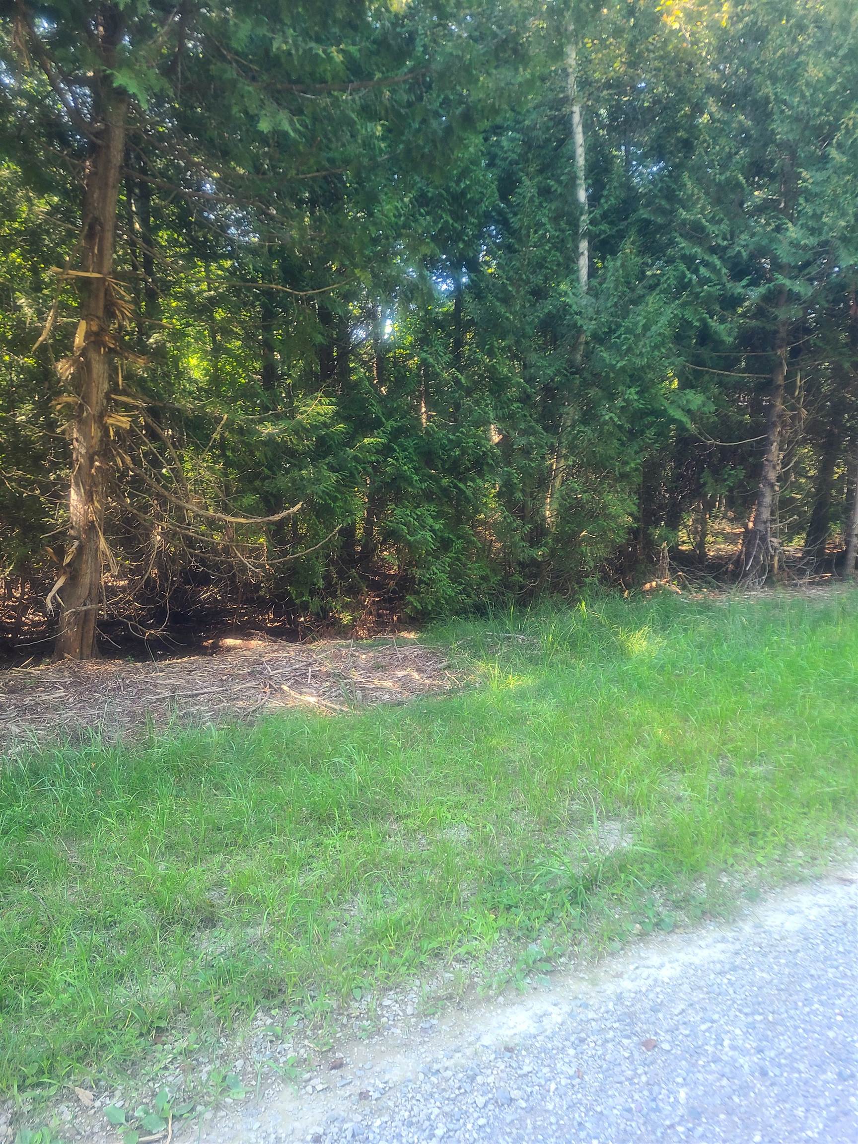 00 Birchwood Trail