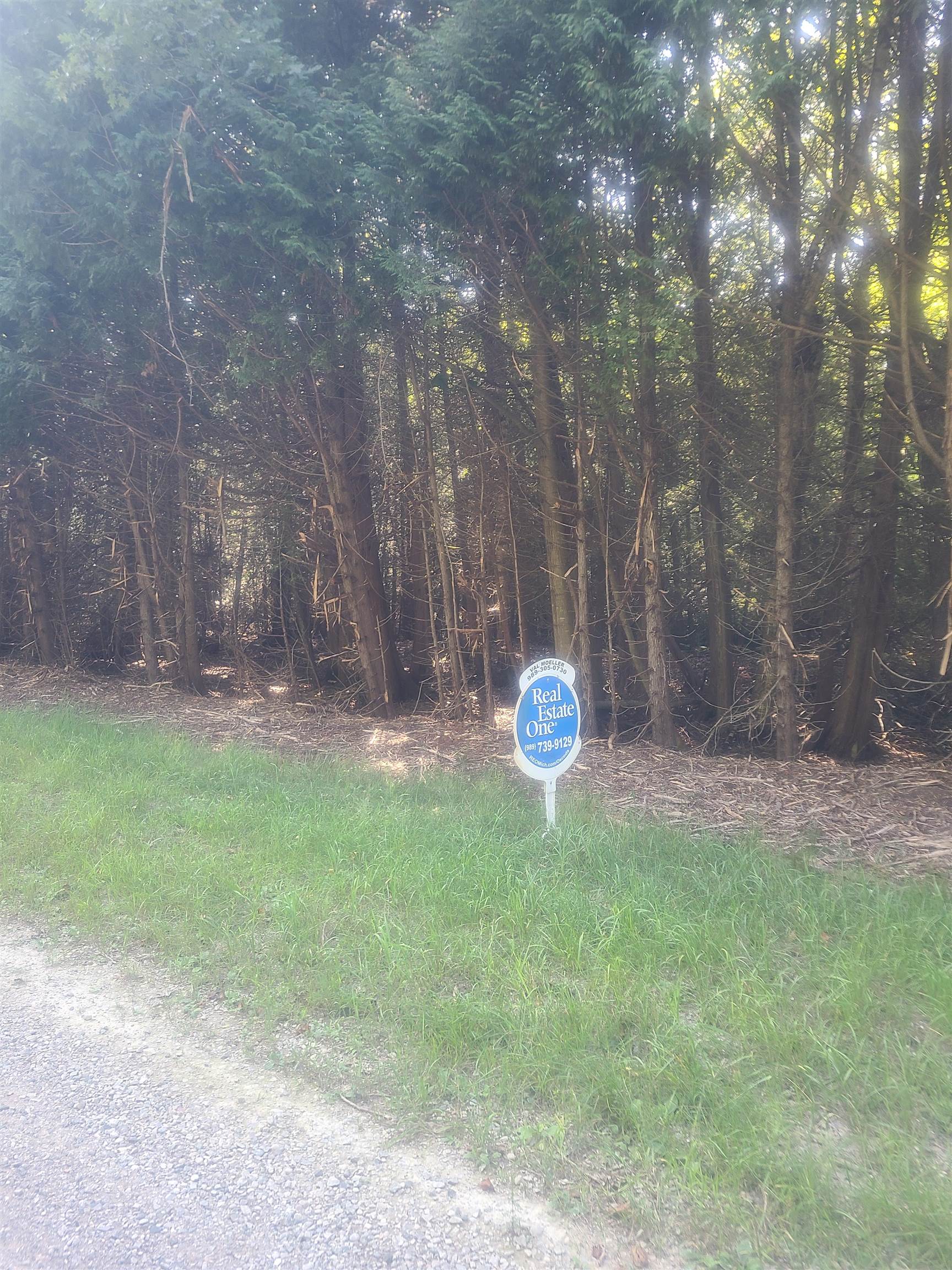 00 Birchwood Trail