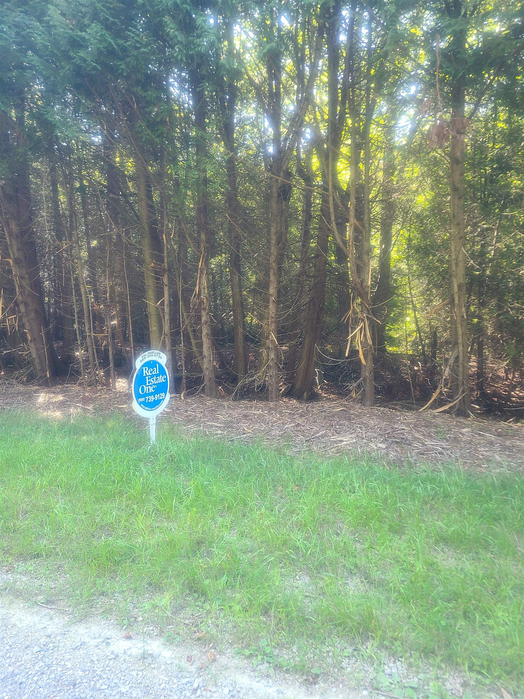 00 Birchwood Trail