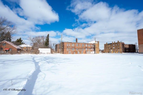 13523 GREINER ST, DETROIT, MI 48205 - Image f8b1709fb2ce1c8f53eedc8ec31458cb/747387787