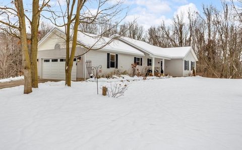 Photo of 1395 S Lacey Lake Road, Kalamo Township, MI 48813 (MLS # 55025061889)