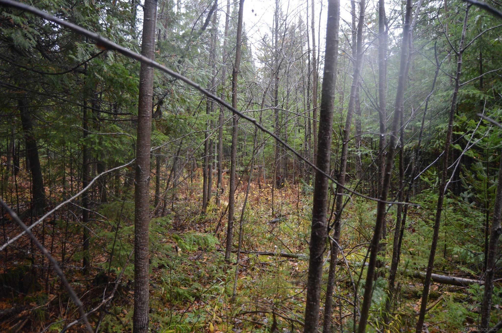 w15598 Hiawatha Trail
