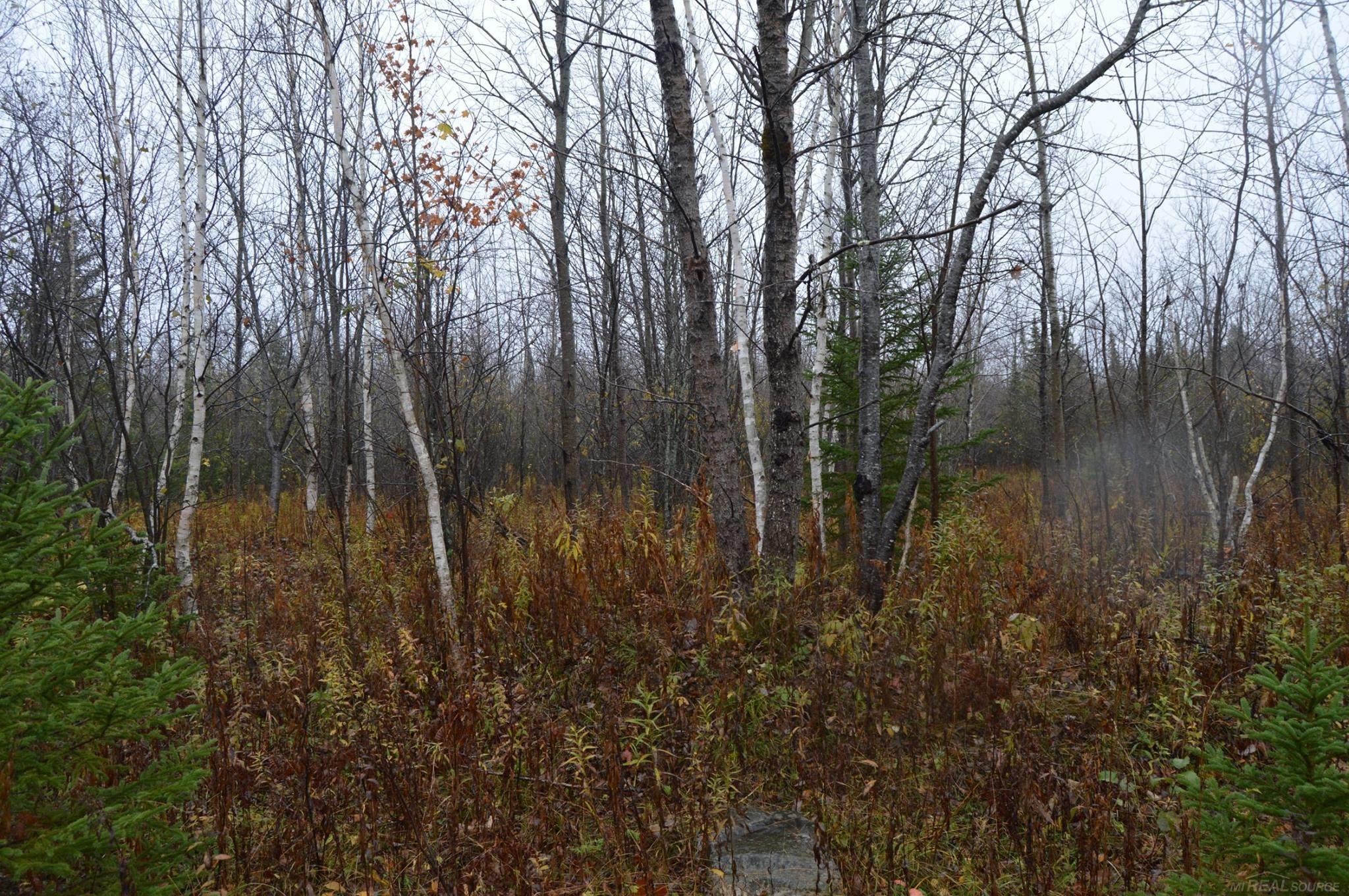w15598 Hiawatha Trail