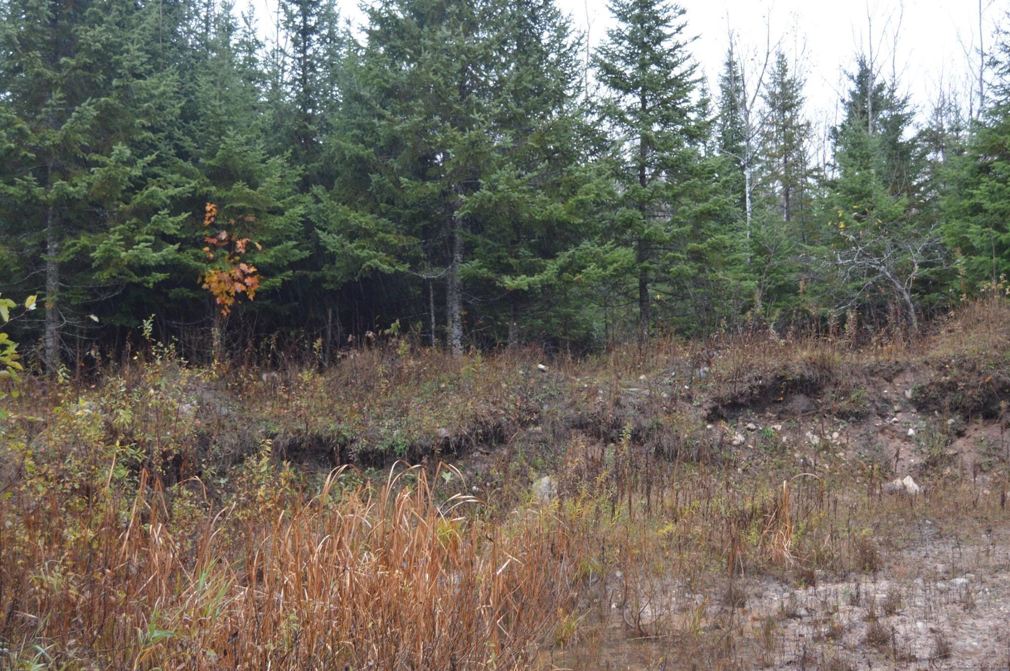 w15598 Hiawatha Trail