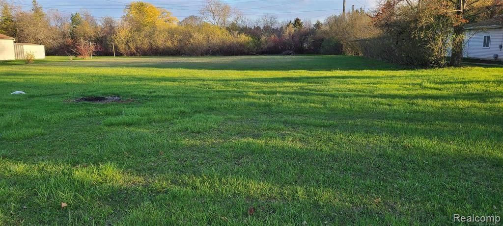 Photo of 5 S Roger Road, Worth Township, MI 48450 (MLS # 20251061902)