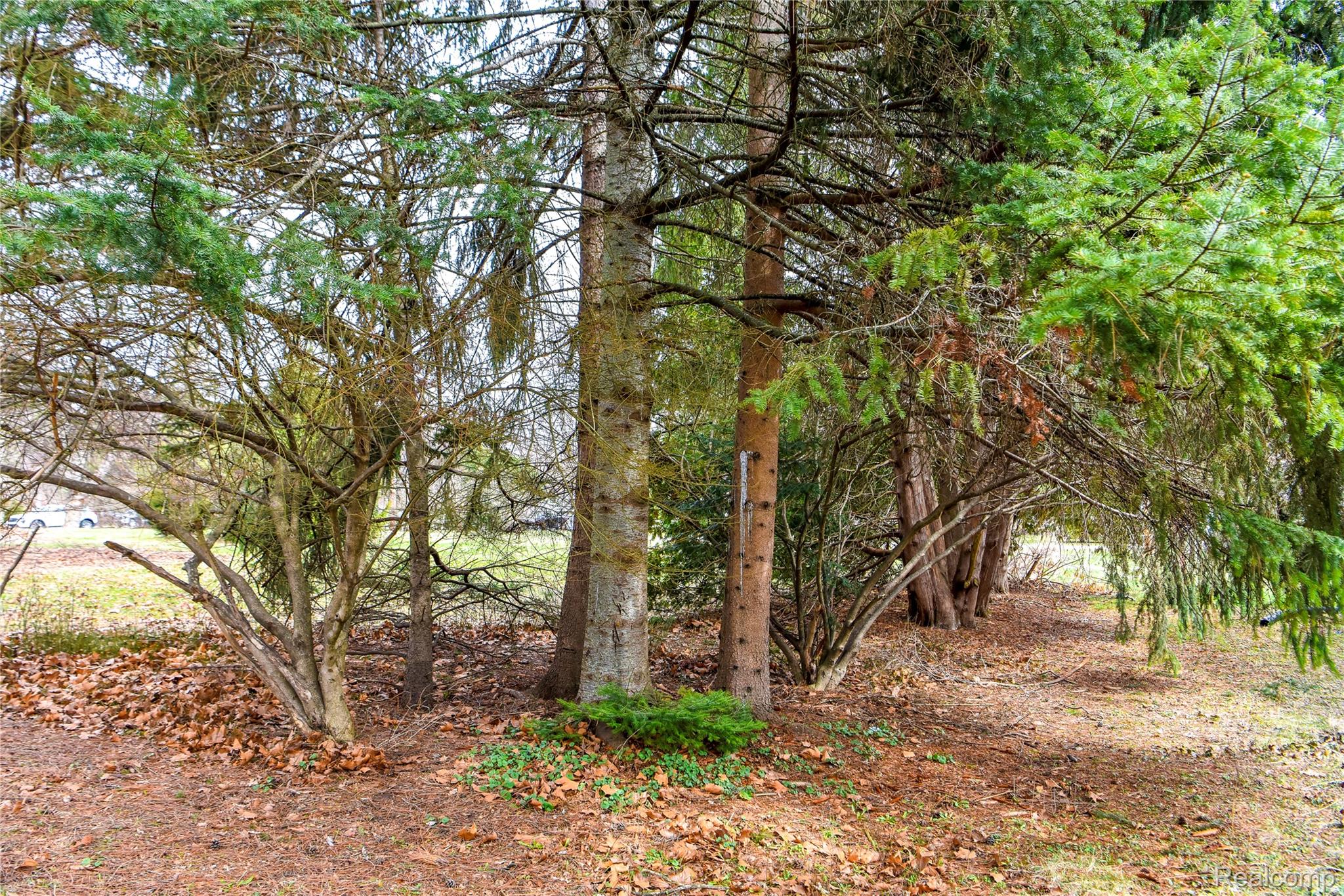 Lot 64 Merry Road Road