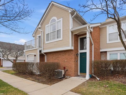 56711 Scotland Boulevard Shelby Charter Township MI 48316