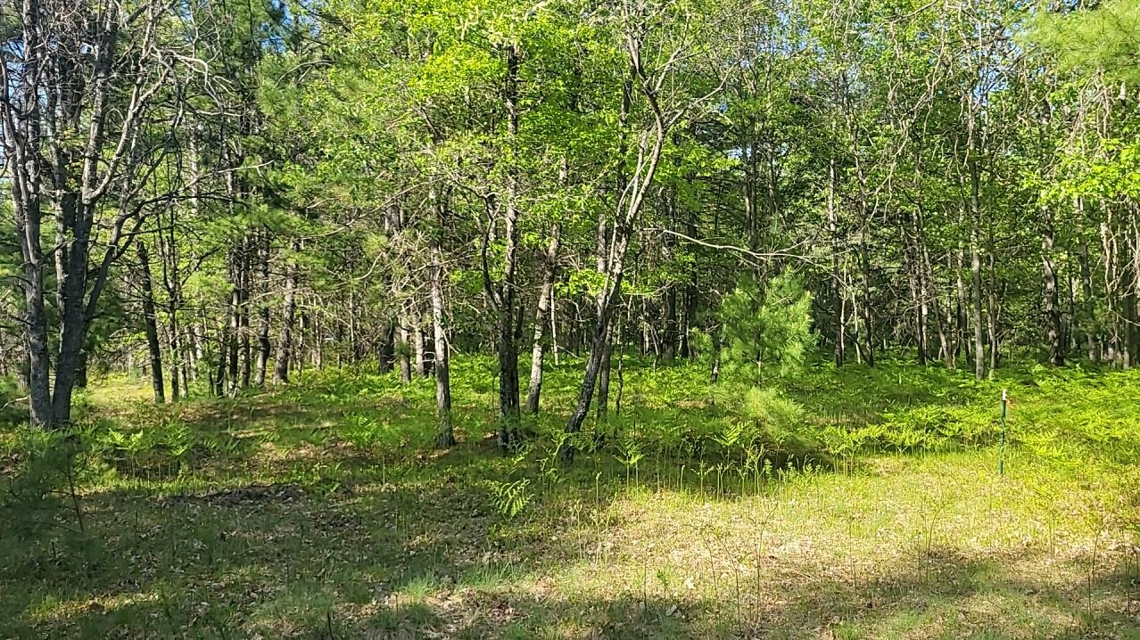 Parcel 3 Sumac Trail
