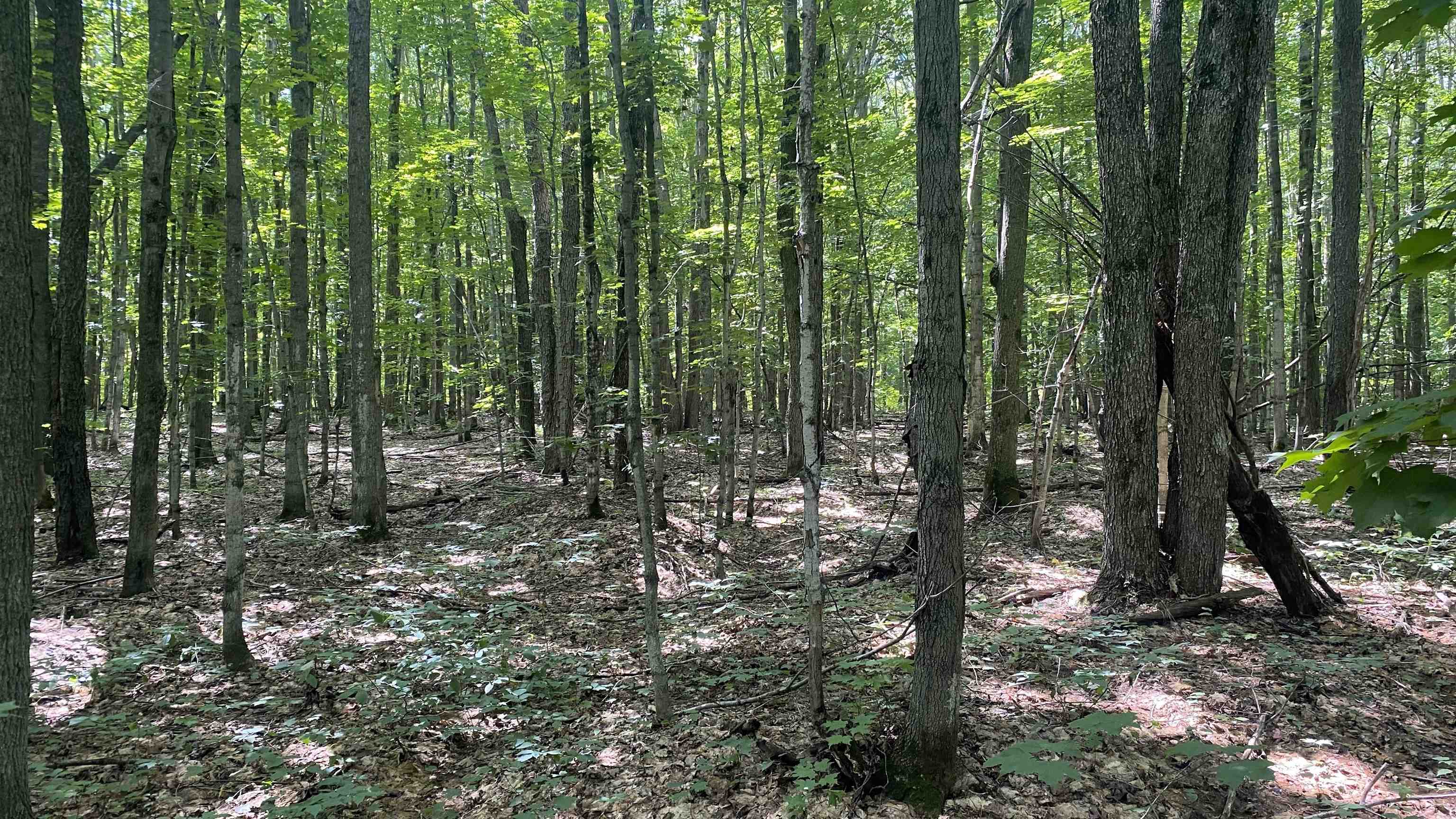 Lot 437 Northwood Drive