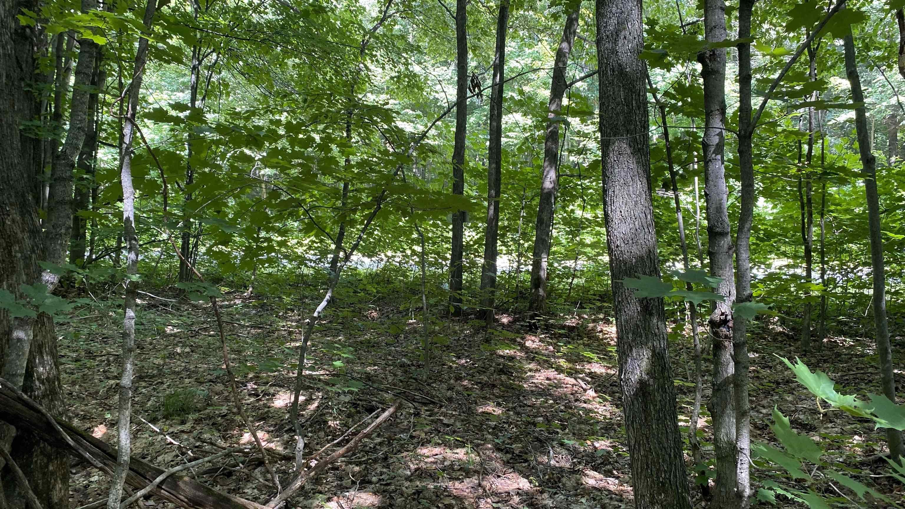 Lot 437 Northwood Drive