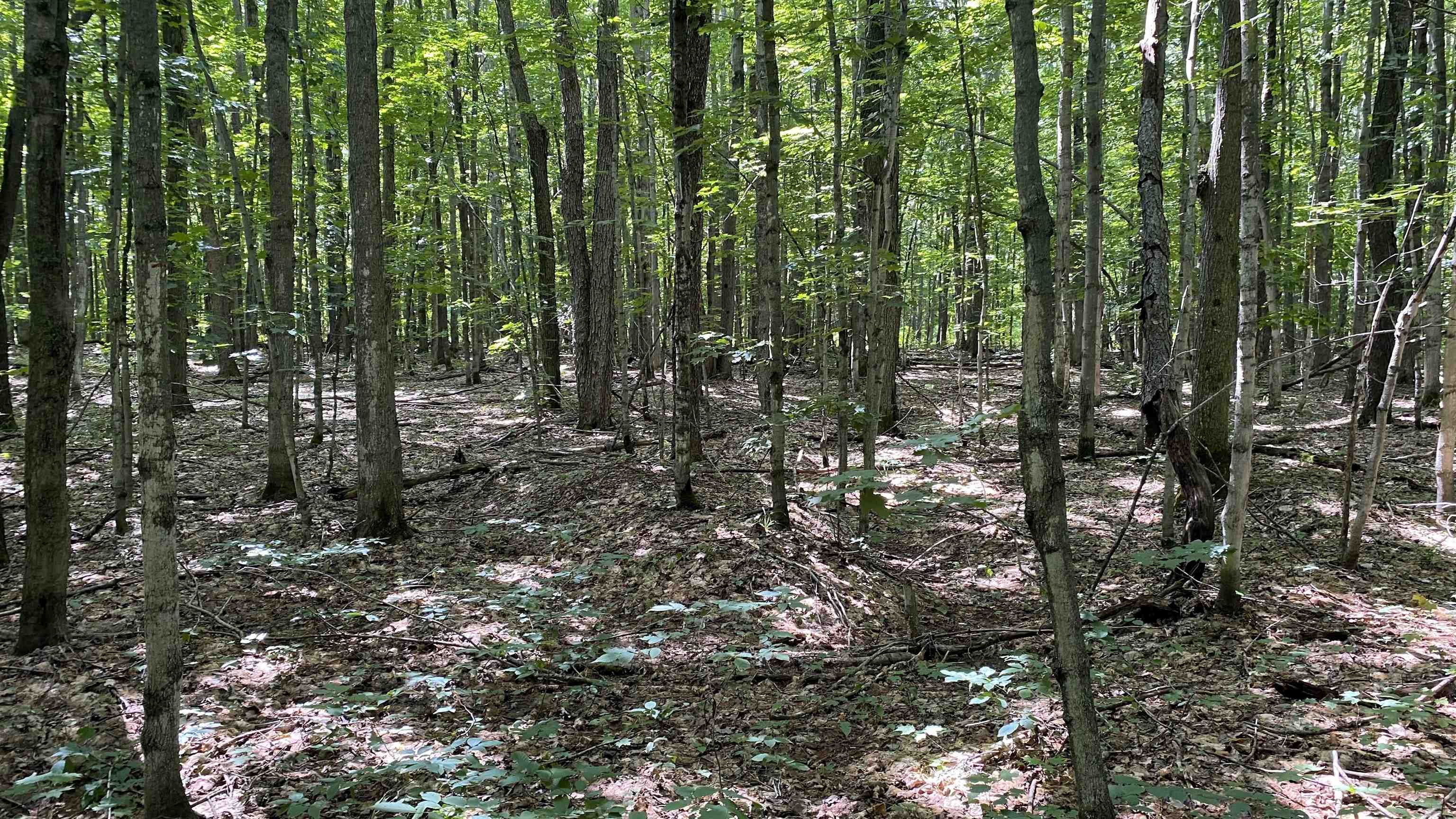 Lot 437 Northwood Drive