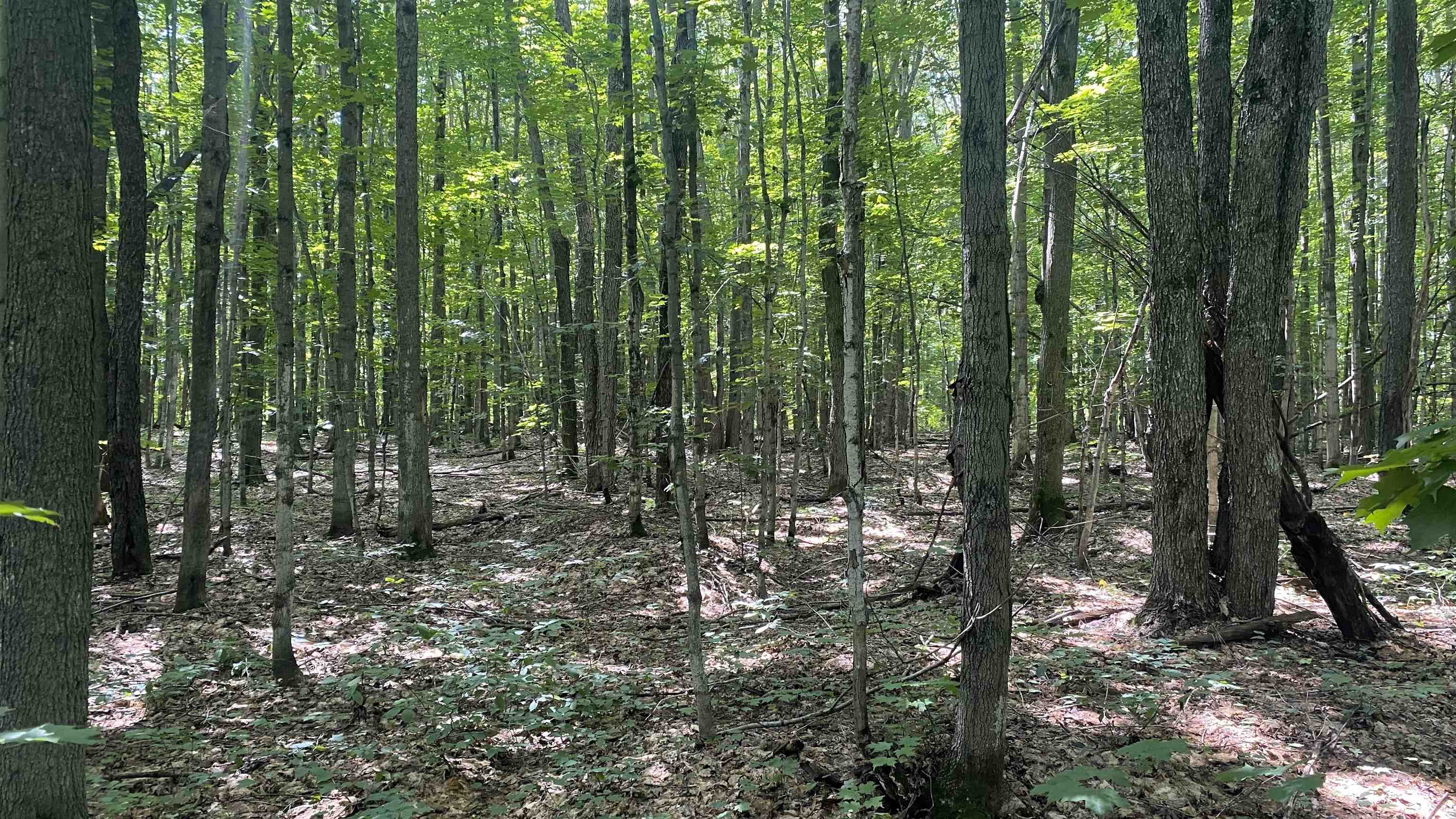 Lot 437 Northwood Drive