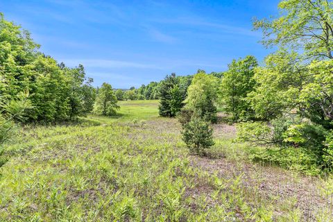 00 1A East Traverse Highway Solon Township MI 49684