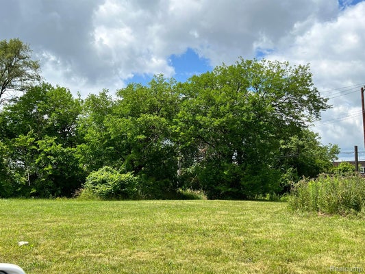 571 E EDSEL FORD FWY, DETROIT, MI 48202 - Image fa29ce97ce59e618c0fa3593dce1efff/418929759