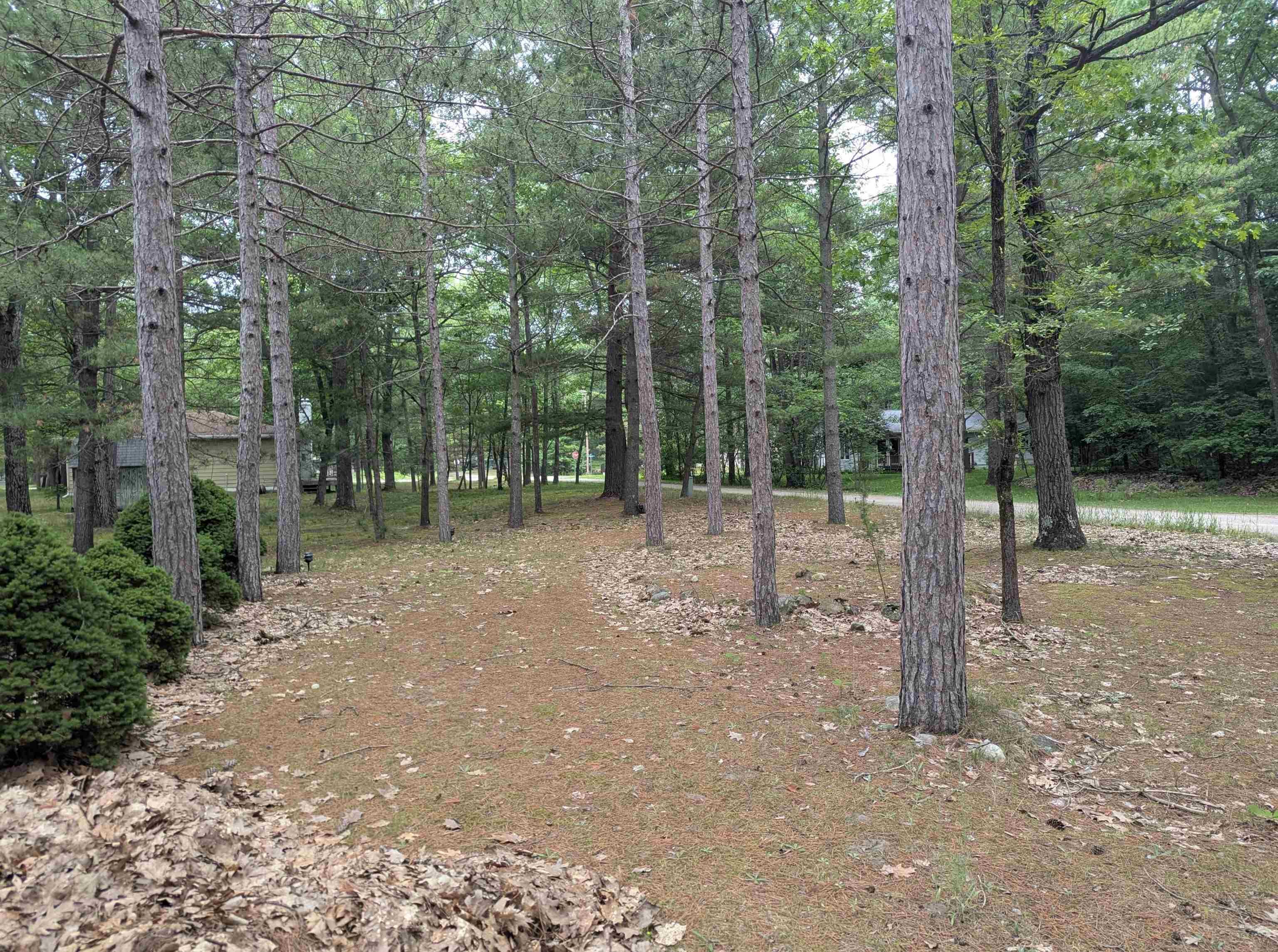 28 W Pine