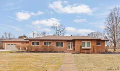 117 Park Street Tecumseh City MI 49286