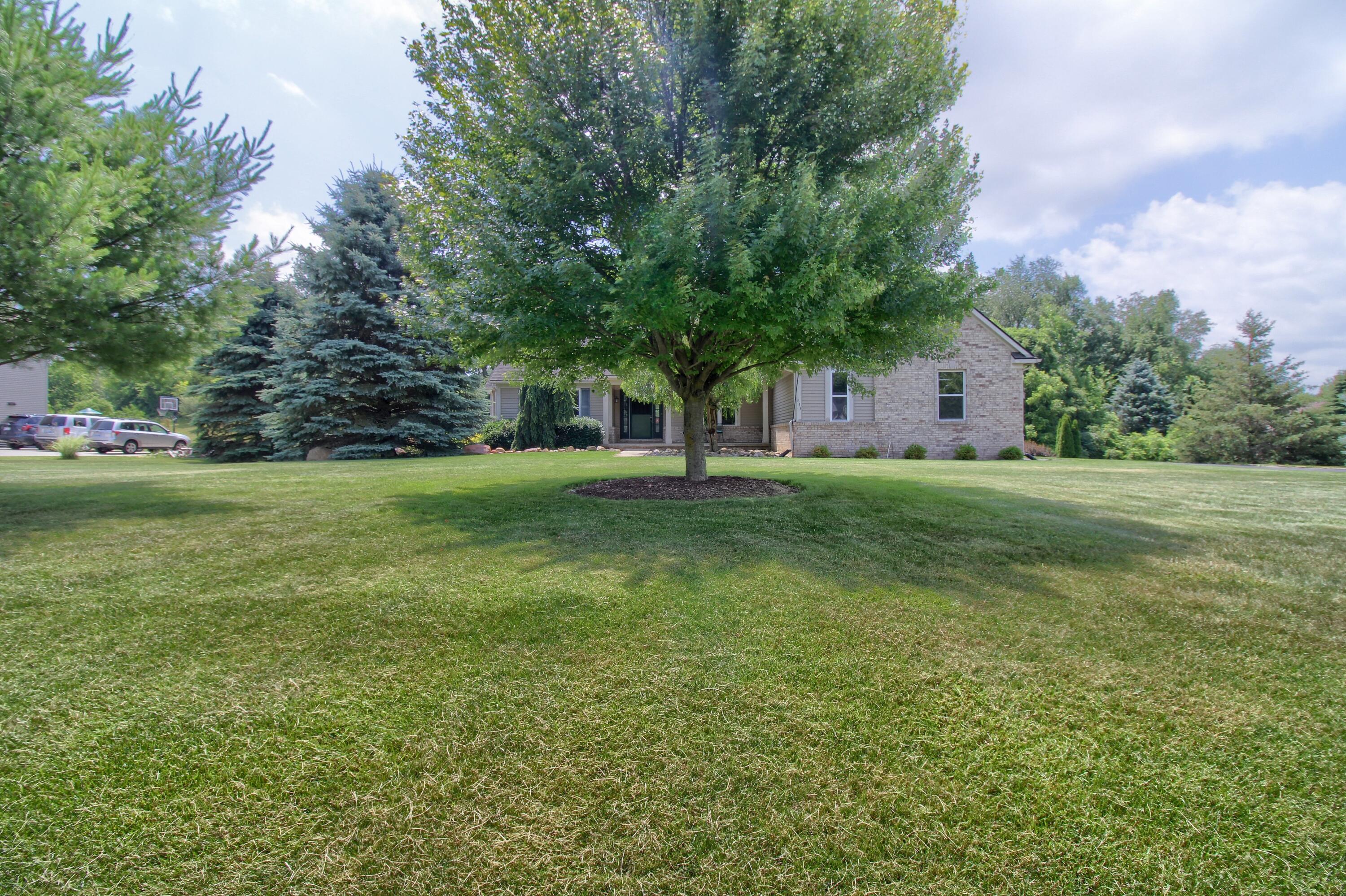 6833 N Meadows Pass