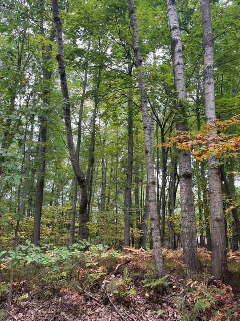 Lot 681 Elm Drive Lincoln Township MI 48622