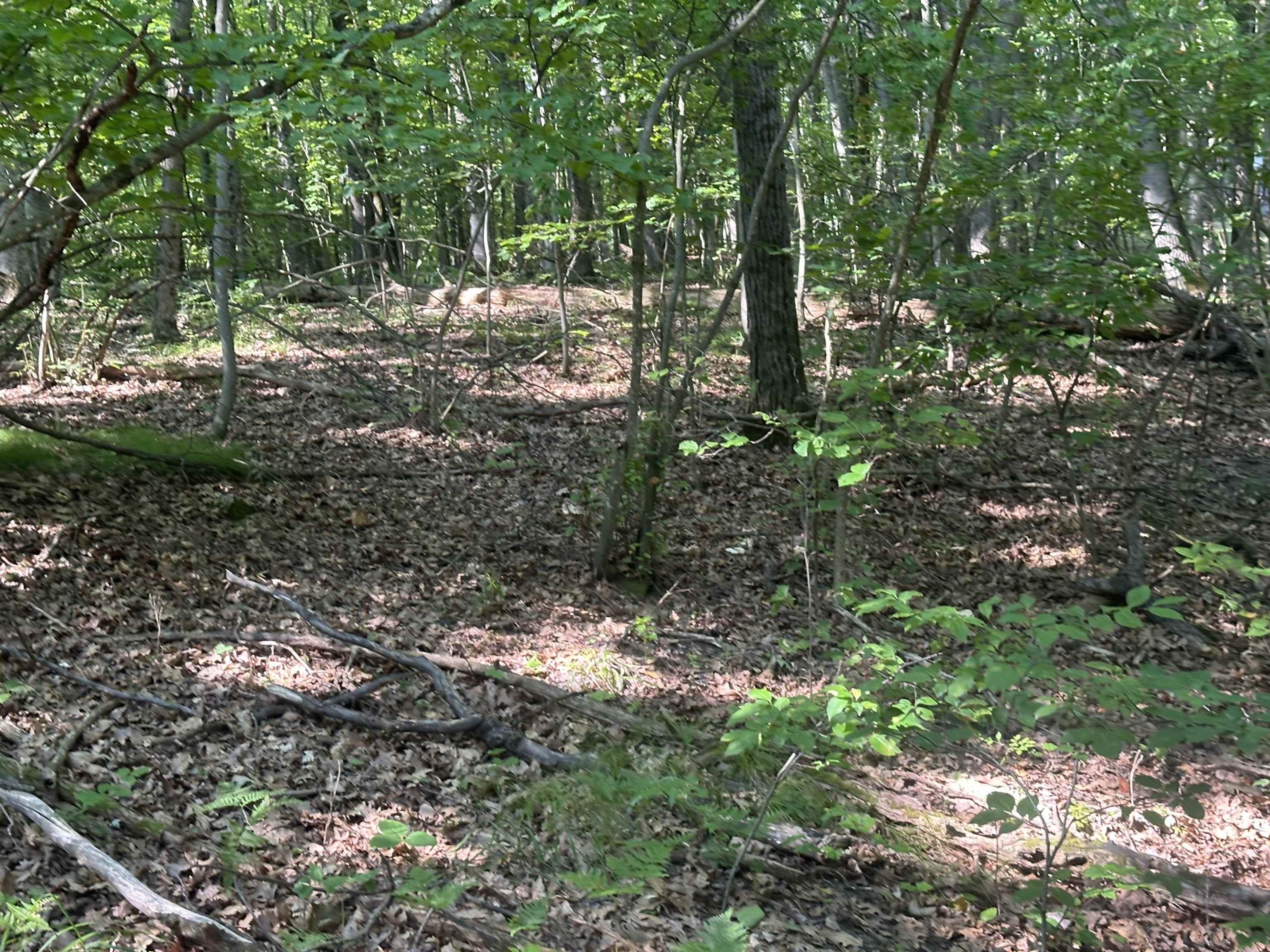 Lot # 179 Mockingbird Circle