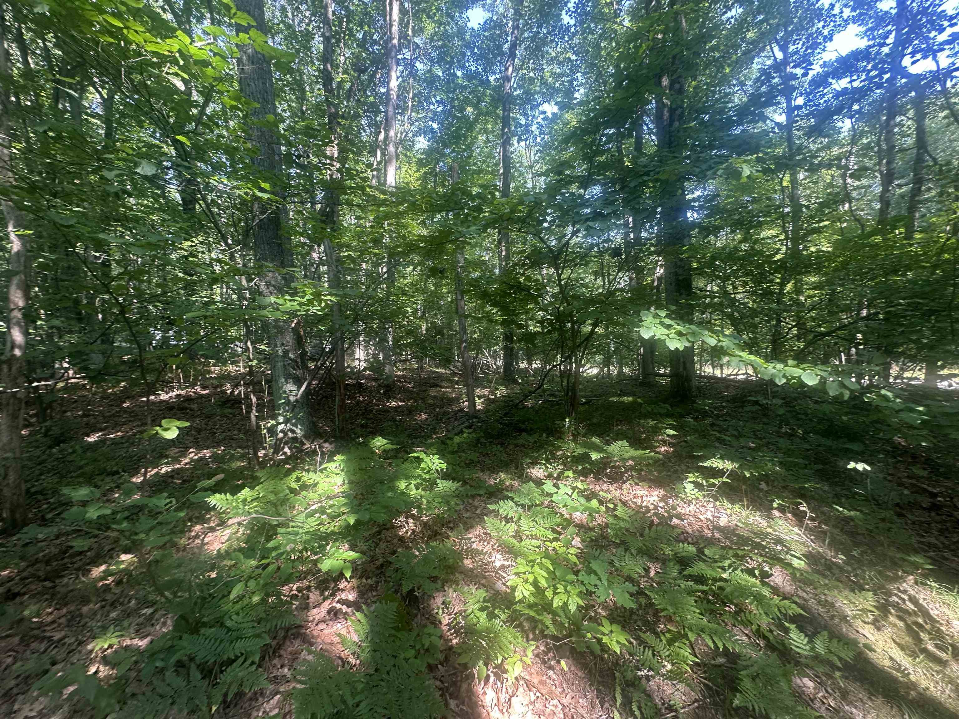 Lot # 179 Mockingbird Circle