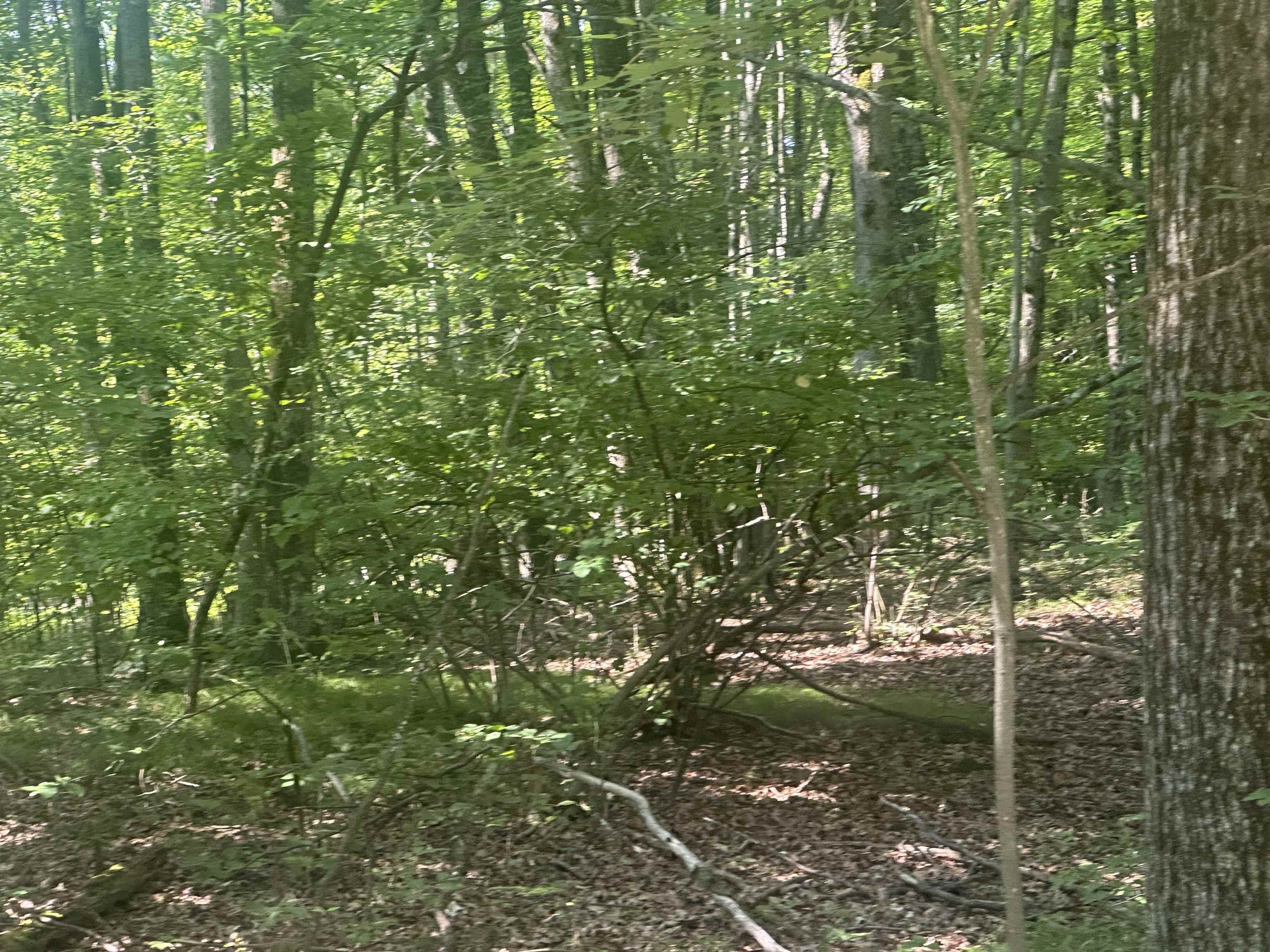 1937325-83166634-8715-4cc1-b308-d538680b733e.JPG
