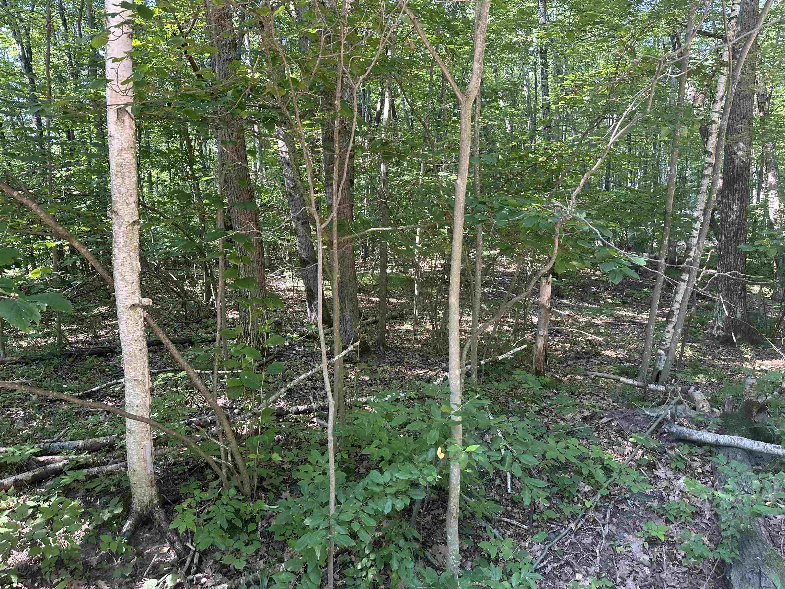 Lot # 179 Mockingbird Circle