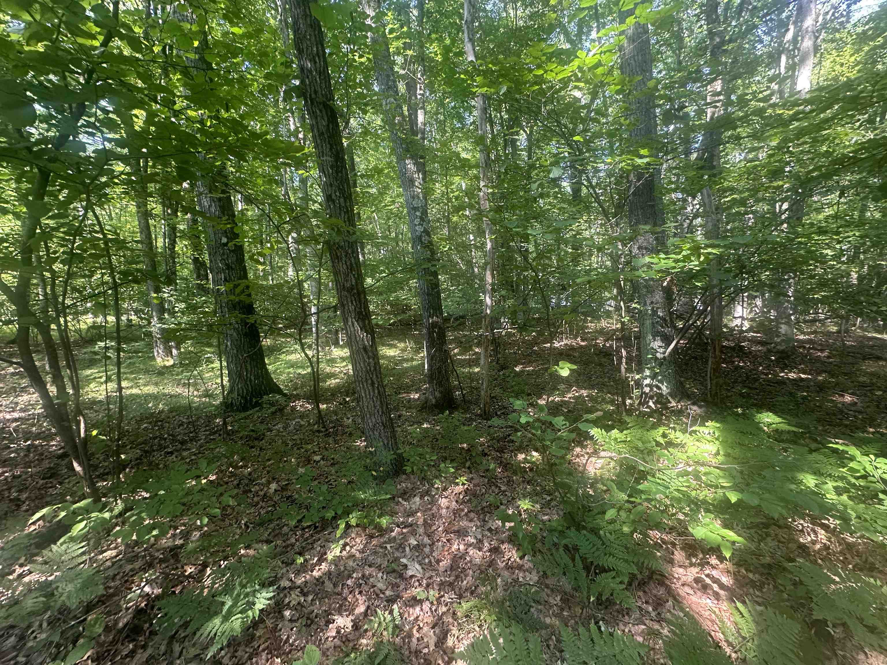 Lot # 179 Mockingbird Circle