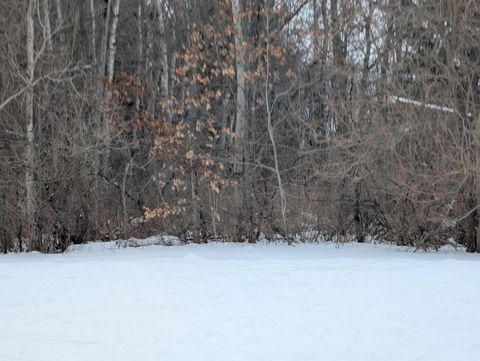 N/A Court Street Au Gres Township MI 48703