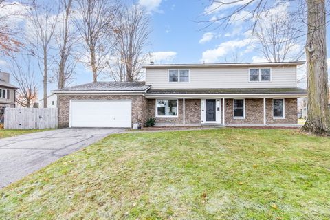 11025 Higley Circle Schoolcraft Township MI 49087