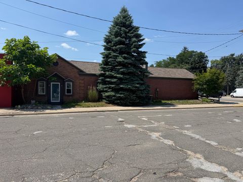 177 S Benson Street White Cloud City MI 49349