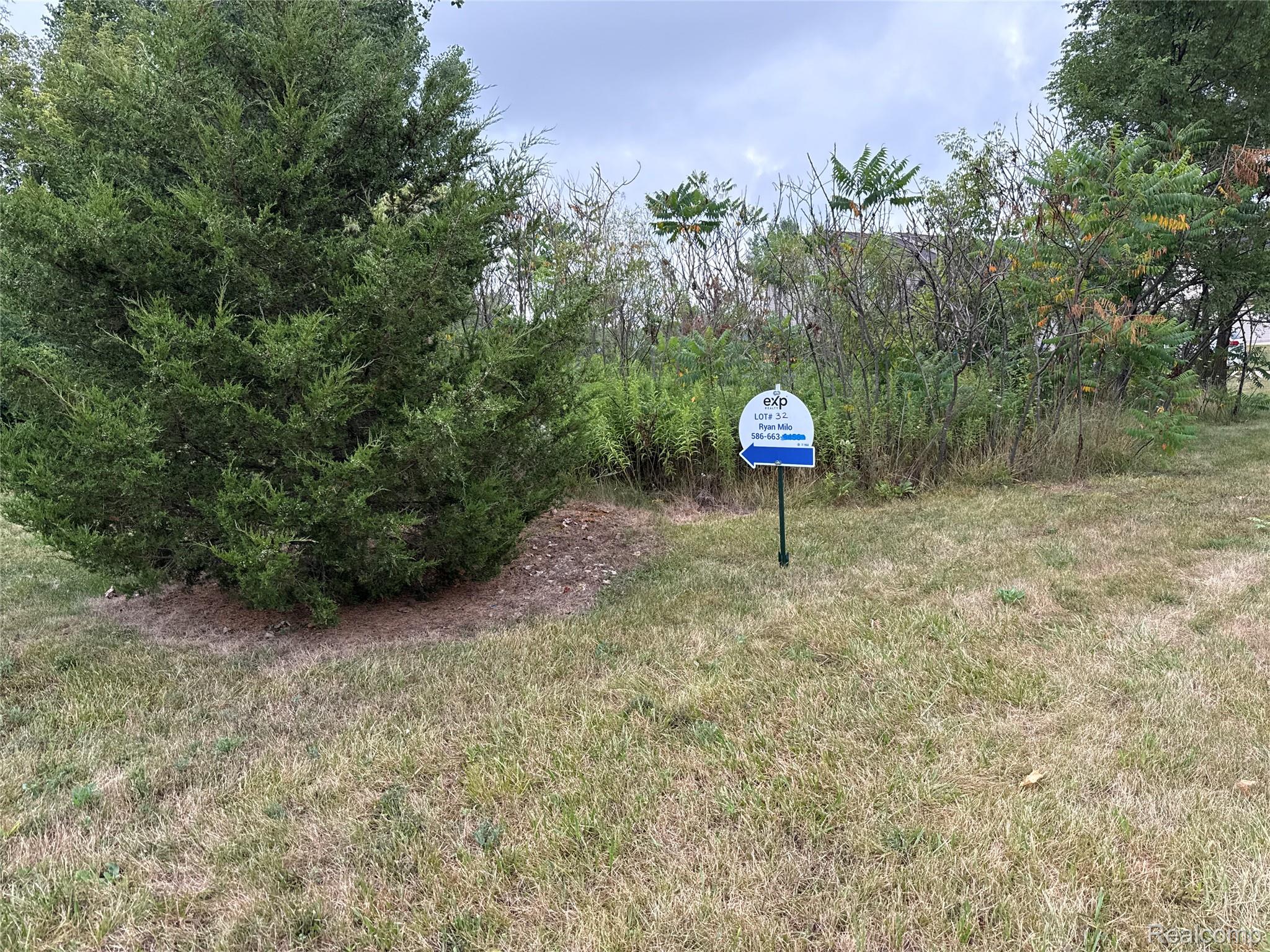 9094 Potterville Drive