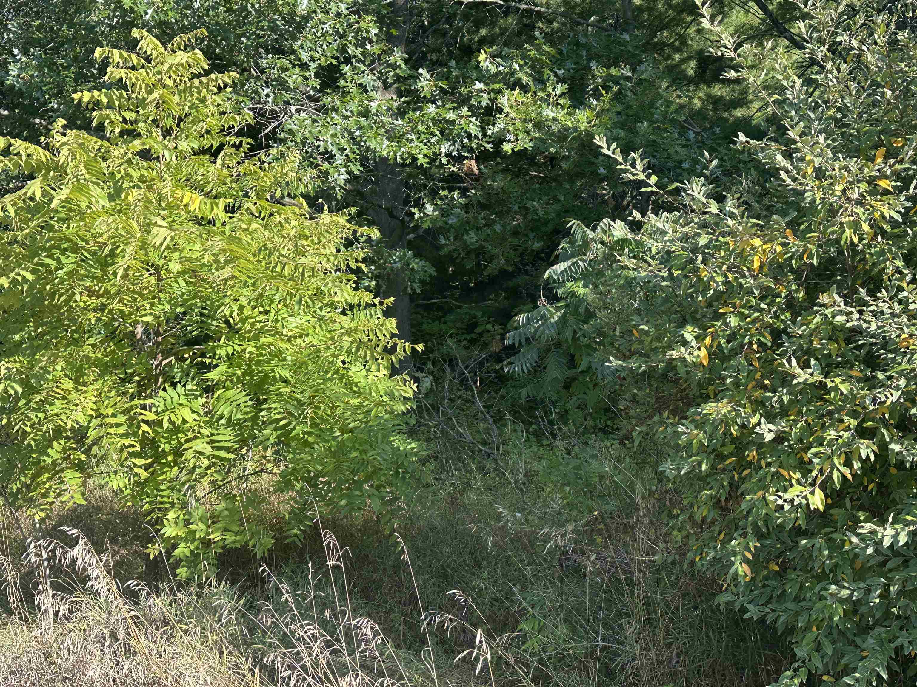 Lots 26-30 Willow Street