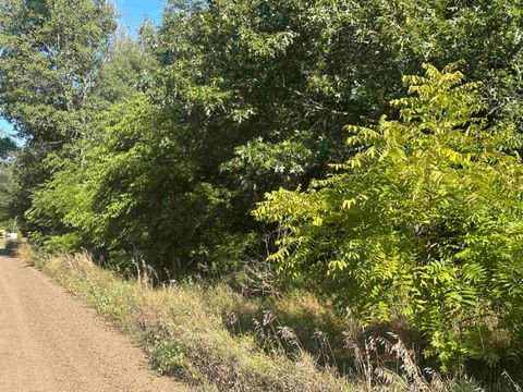 Lots 26-30 Willow Street Garfield Township MI 48632