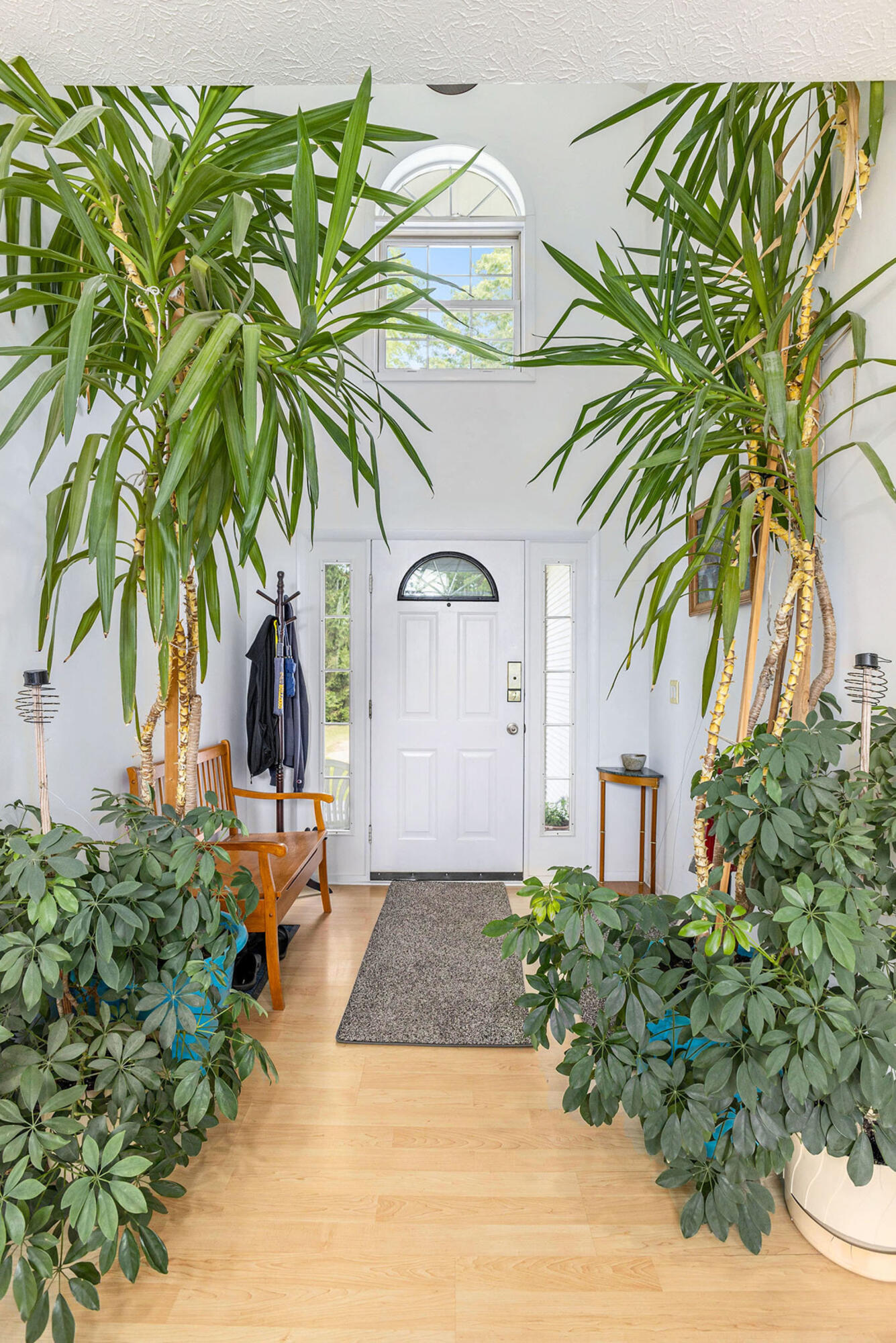 15195 Waterloo-Munith Road