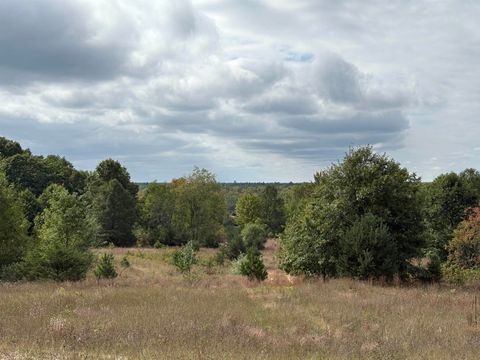 7267 S Snyder Road Springfield Township MI 49633