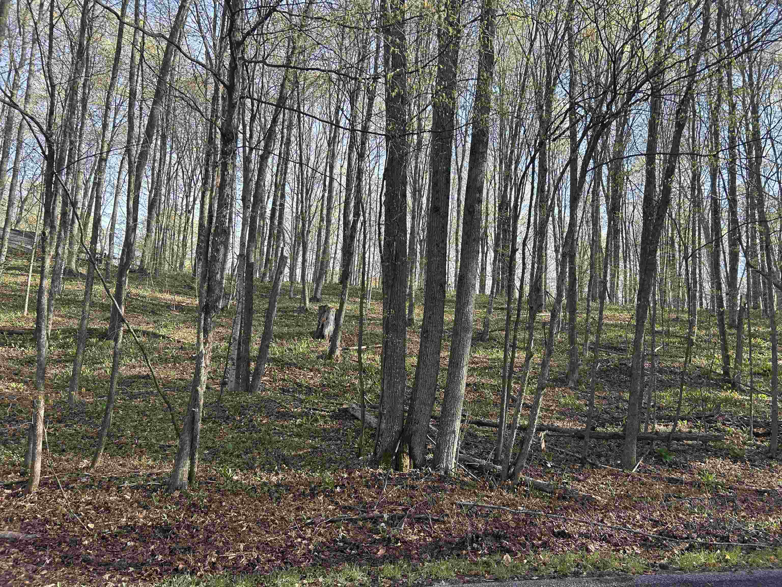 Lot 122 Maromir Court