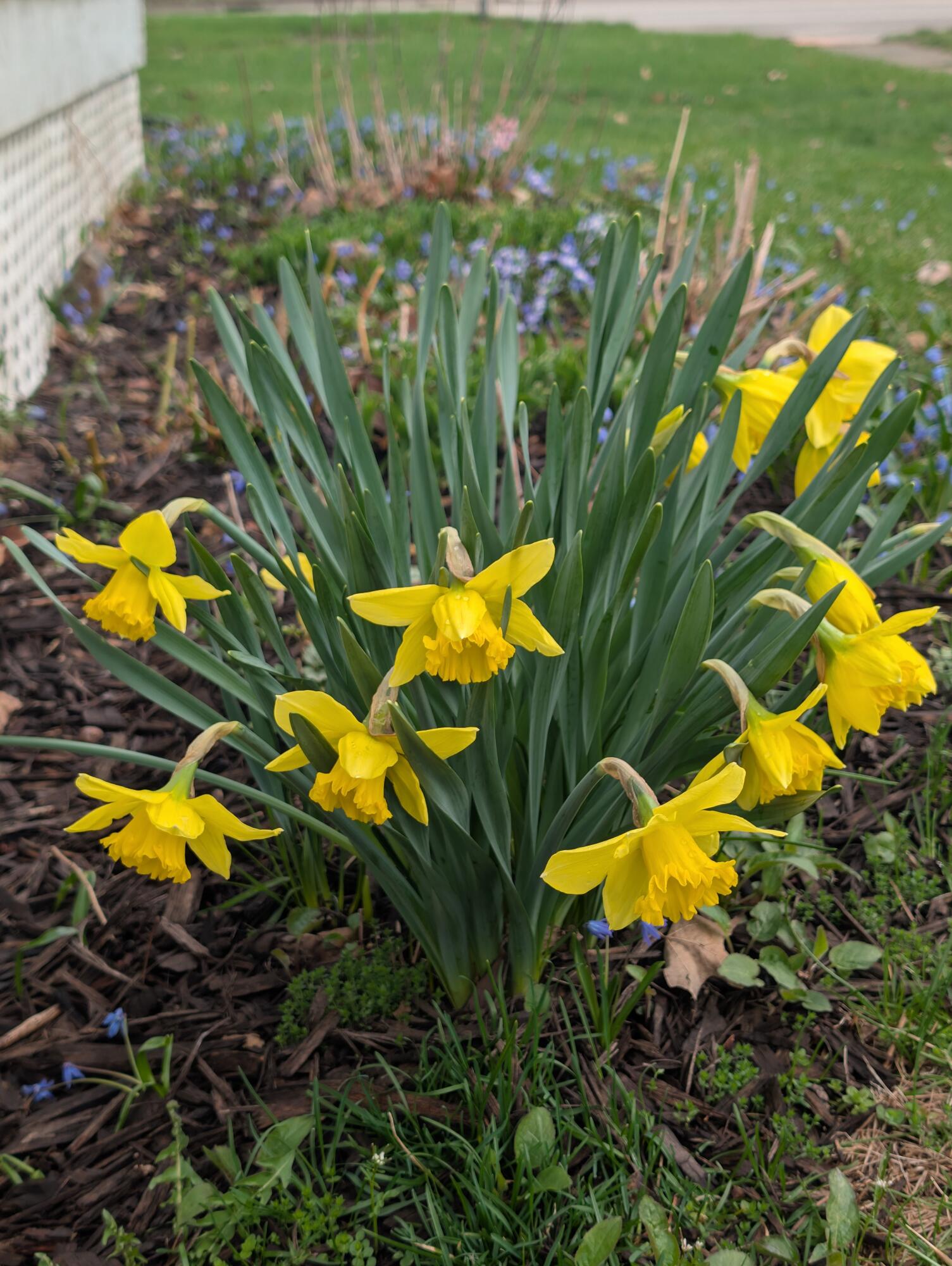 301 W Washington Street