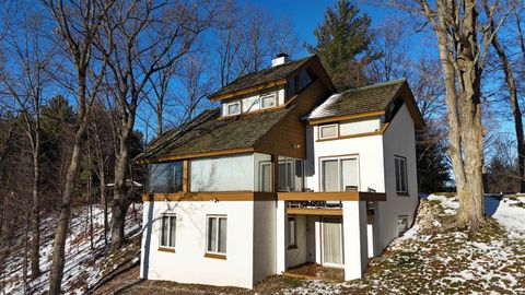 4210 S Bluff Lane Cleveland Township MI 49621