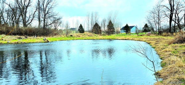 9860 IOSCO RIDGE DR, GREGORY, MI 48137 - Image fca65a4867ca936df59bf5f9a6413a98/3872481416