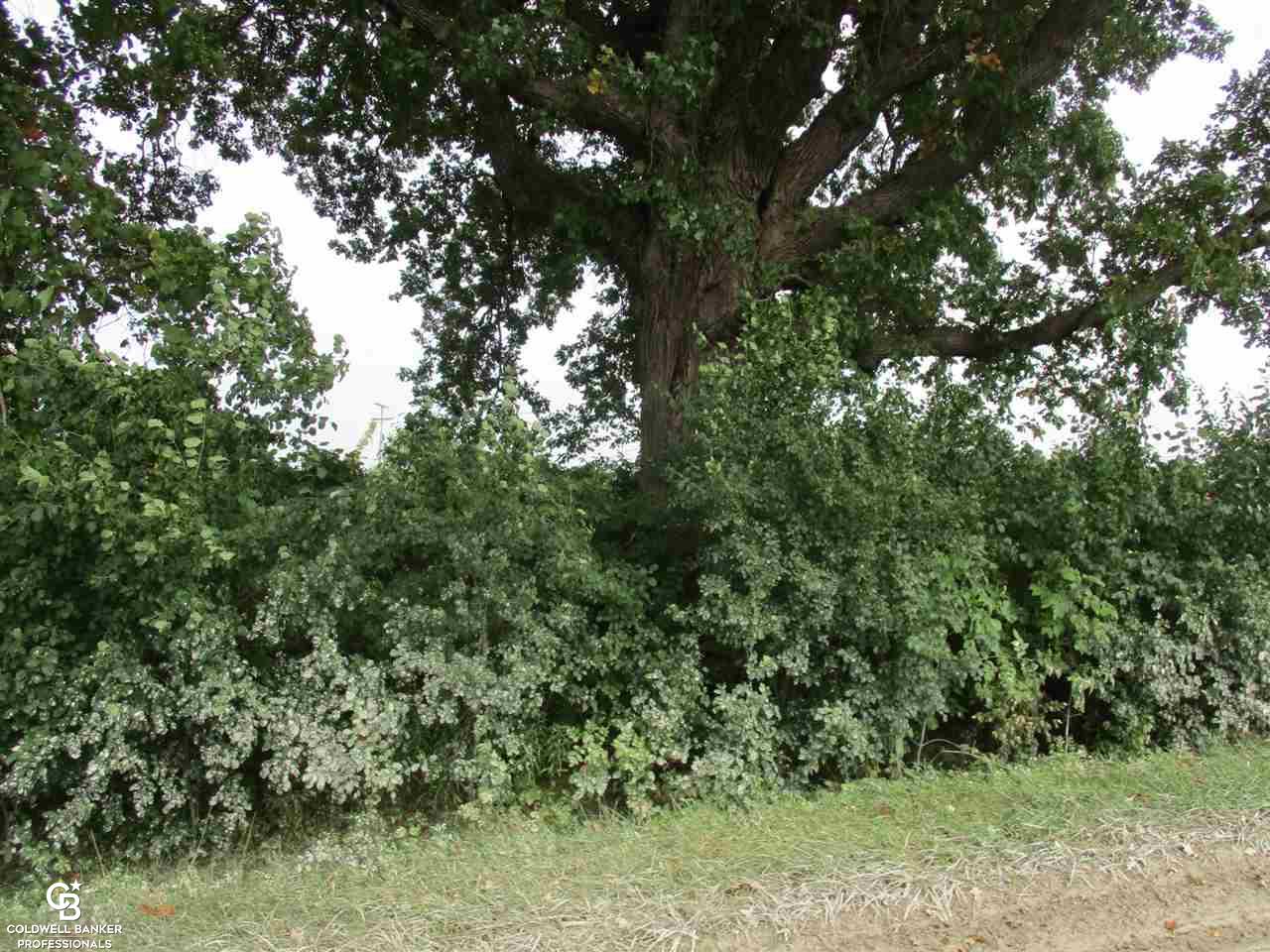 00 Cryderman Rd. Parcel #1