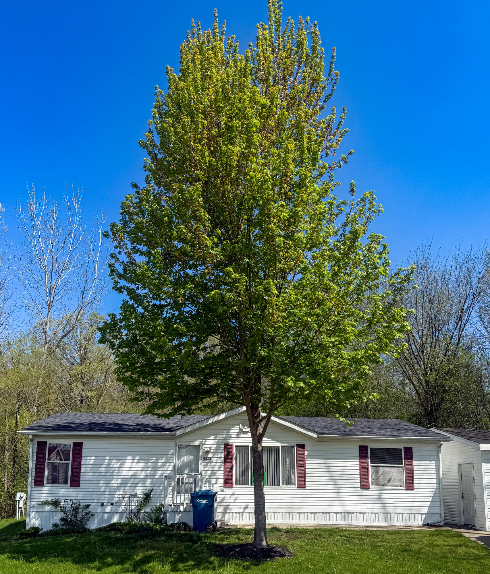 4326 Laurel