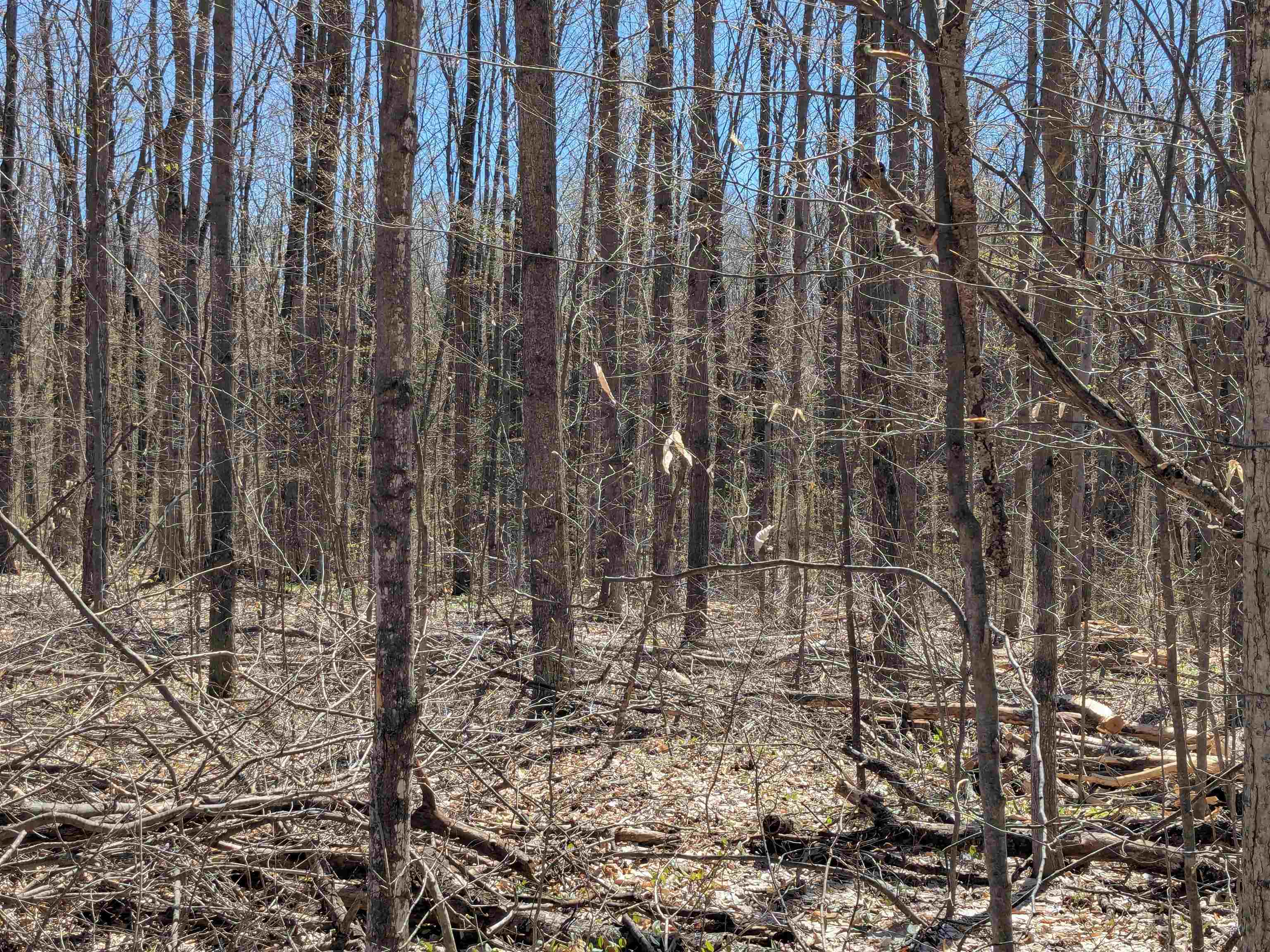 Off Stark Road