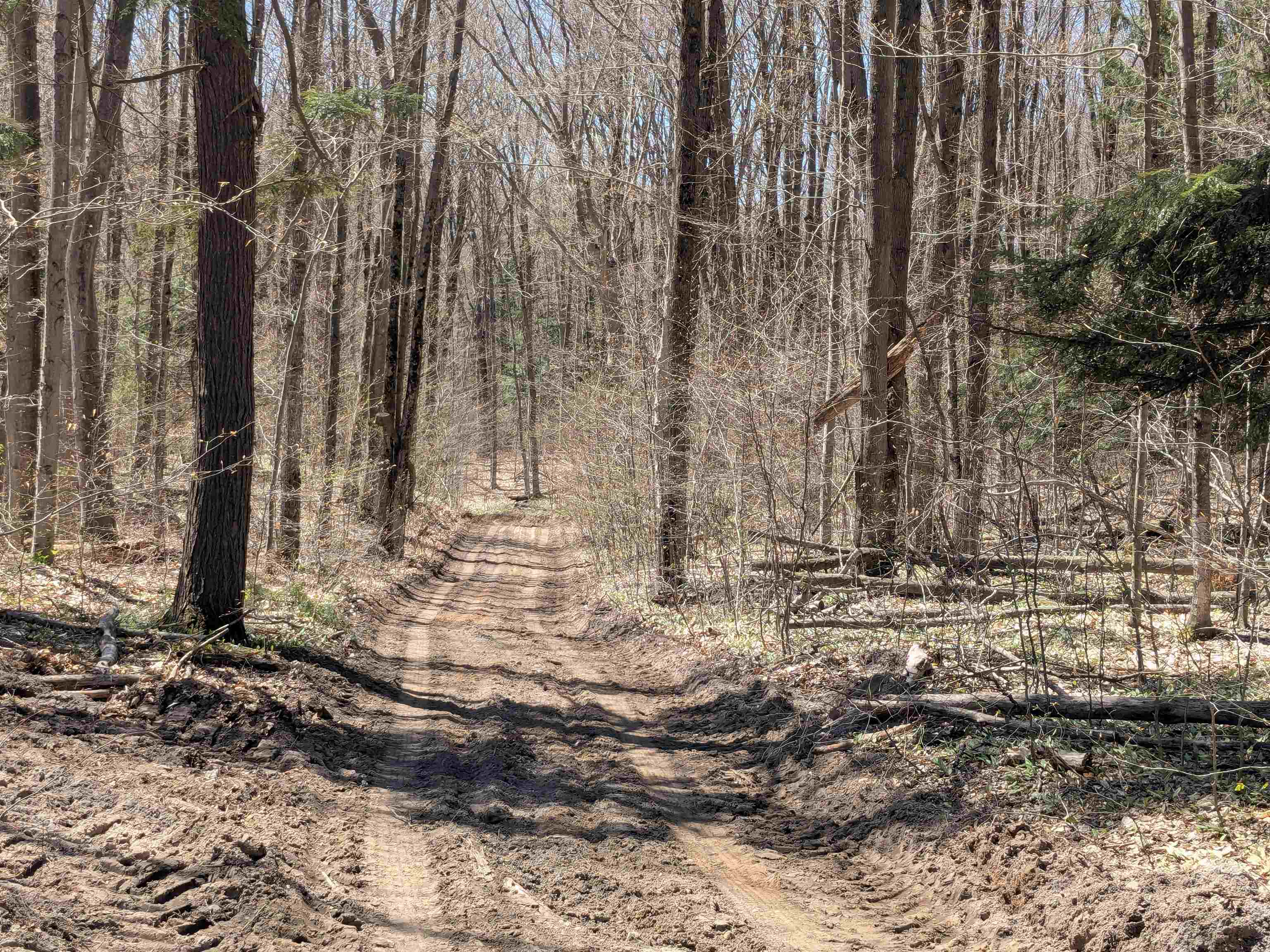 Off Stark Road