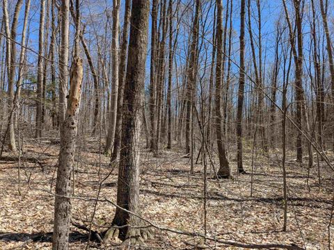 Off Stark Road Chestonia Township Antrim MI 49659