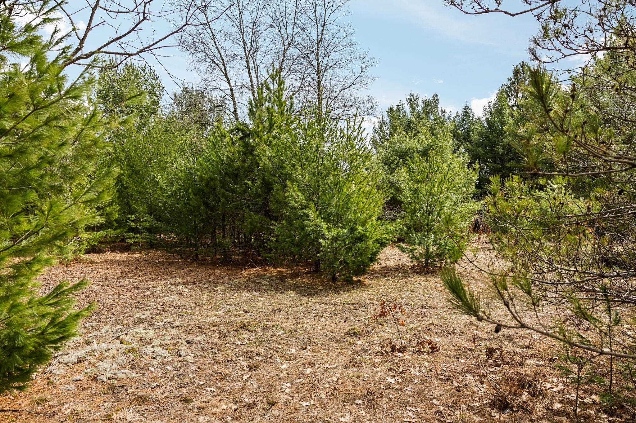 #31 Old Cabin Drive