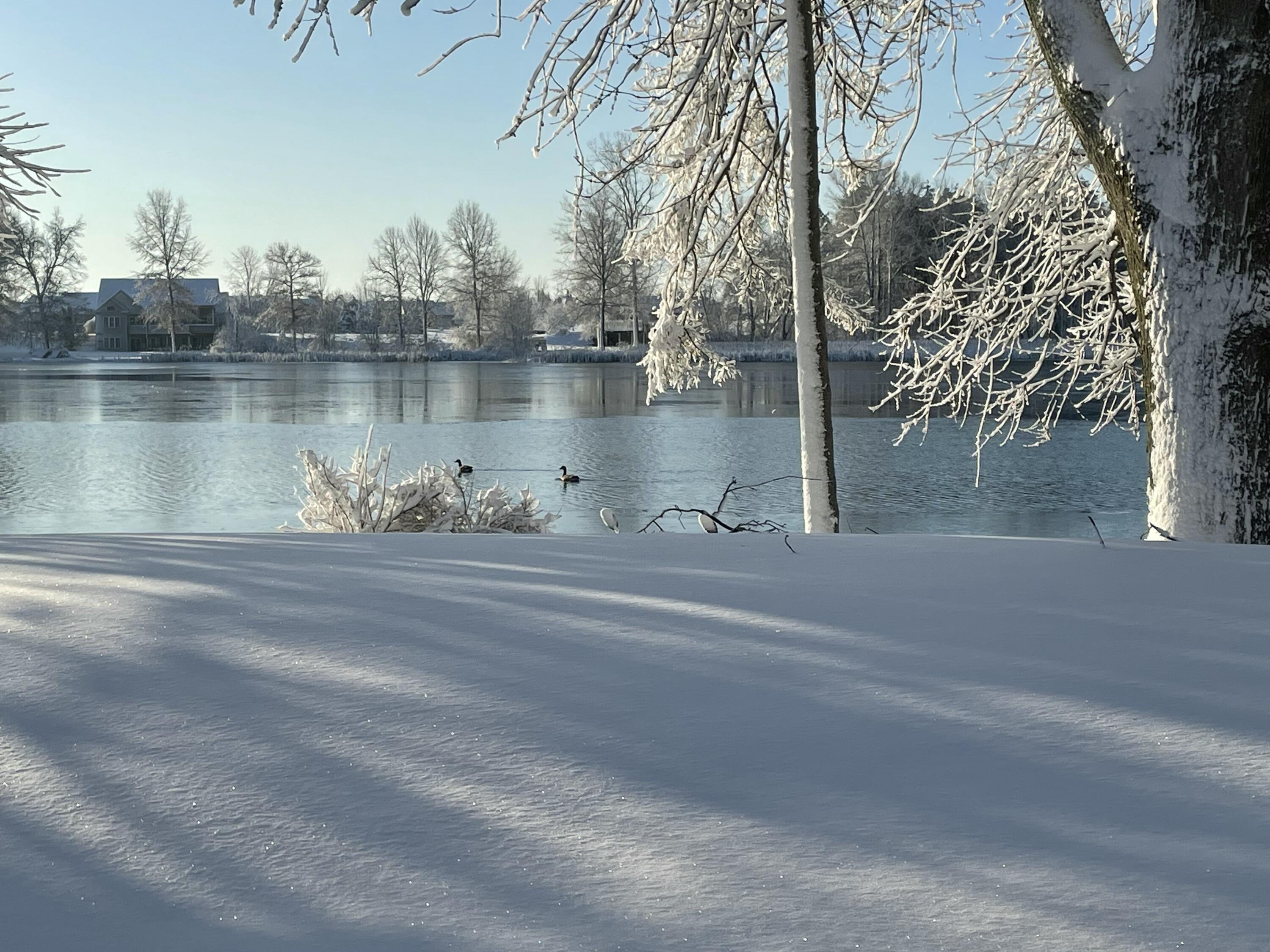 585 Norvell Beach Drive