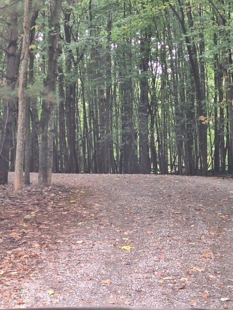 listing image 41