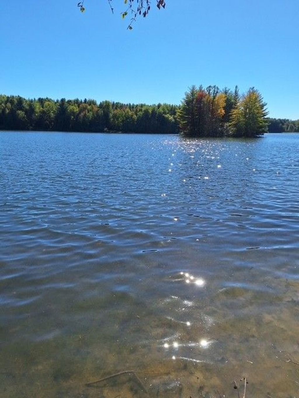 listing image 38