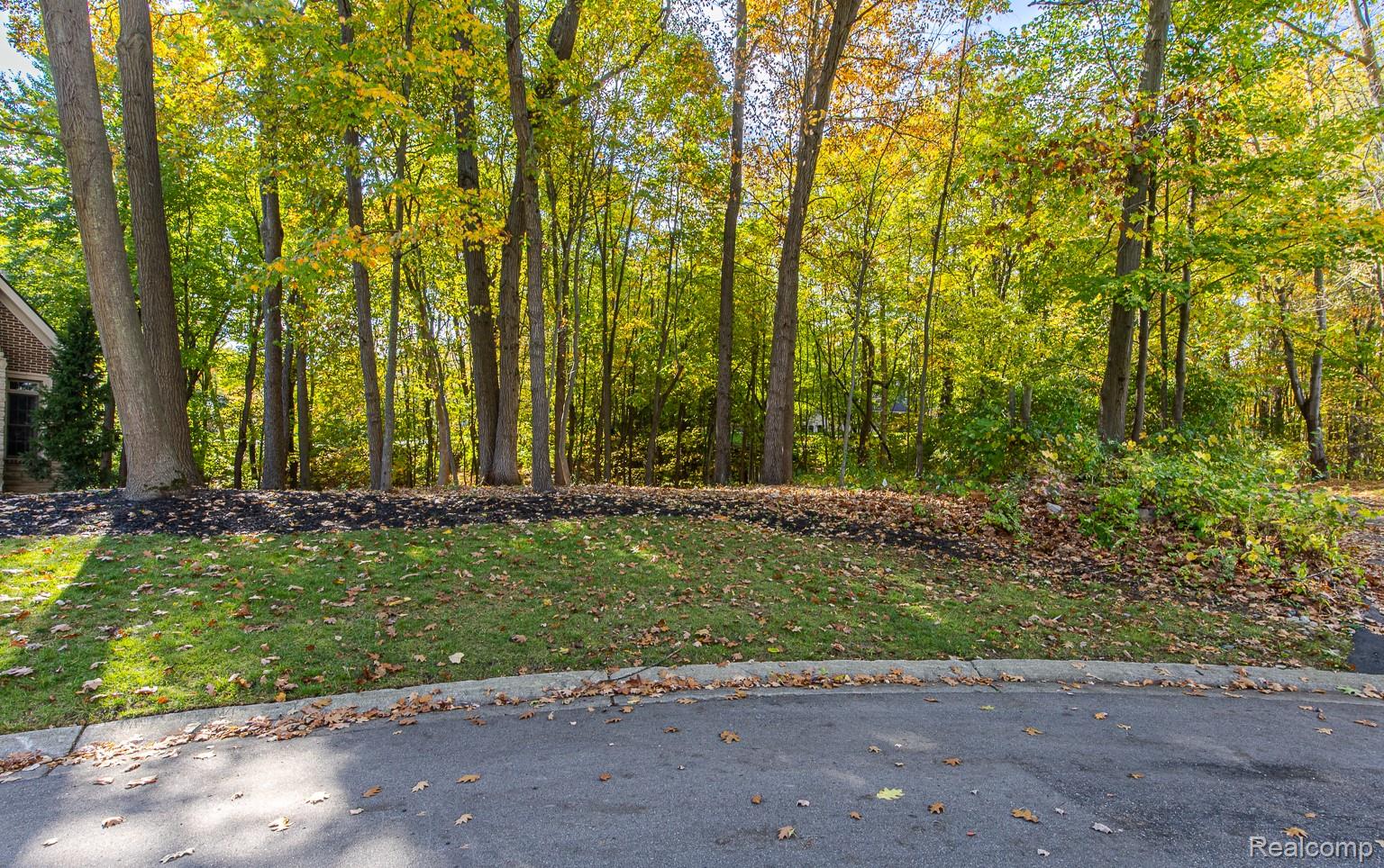 9933 Kingston Ridge